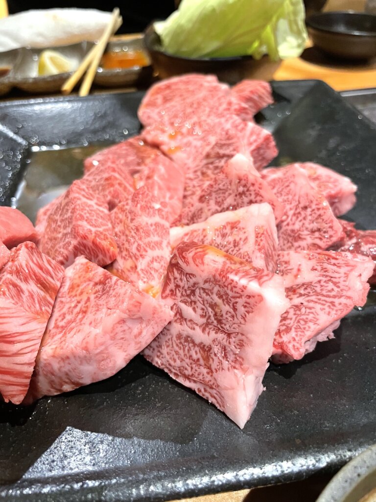 パチンコで勝って「焼肉」食べたら破産した【肉盛り合わせ】