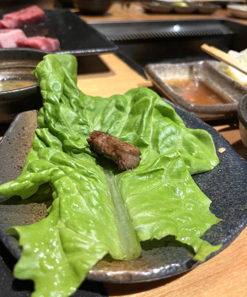 パチンコで勝って「焼肉」食べたら破産した【肉とチシャ菜】