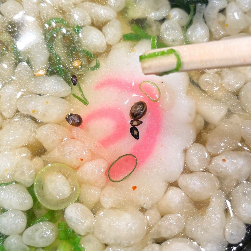 パチンコ三連戦で昼ごはんに食べた生姜焼き定食（1,000円）に付いてたうどんの中に虫入ってたんか思った時の写真