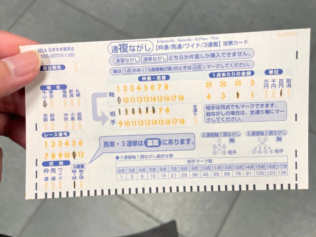 2025年有馬記念　マークシート　3連複軸一頭流し（9-123456）